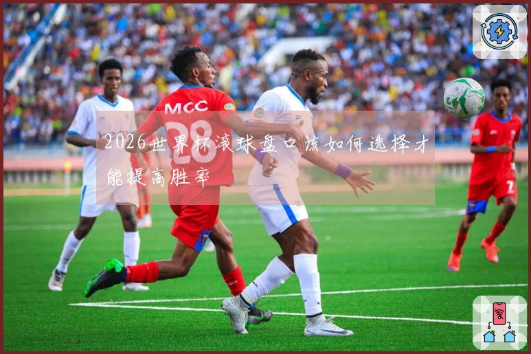 2026世界杯滚球盘口该如何选择才能提高胜率