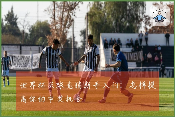 世界杯买球竞猜新手入门：怎样提高你的中奖机会