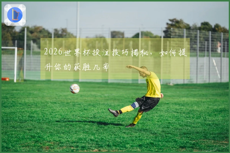 2026世界杯投注技巧揭秘，如何提升你的获胜几率